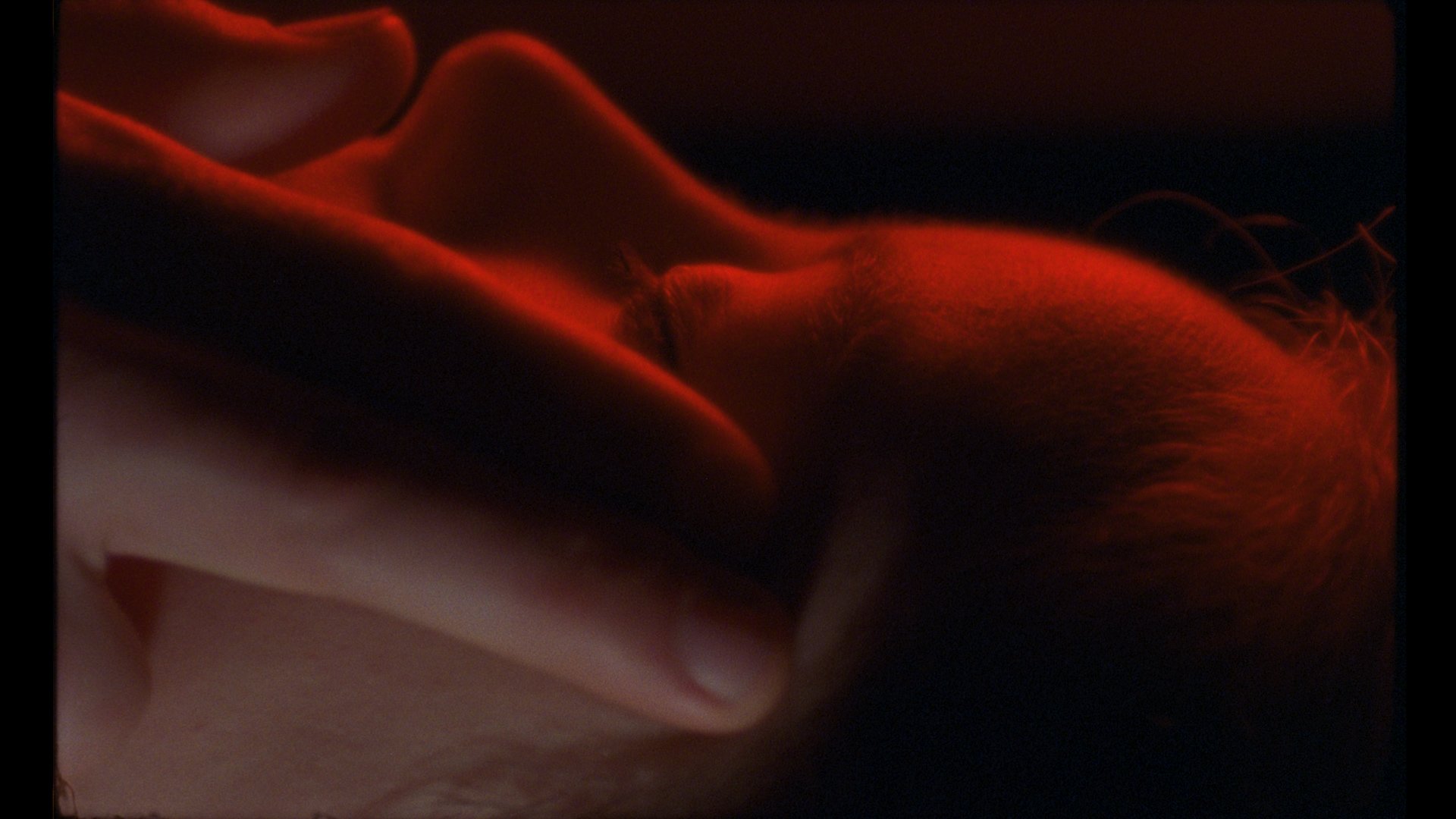 La trilogie d’un imaginaire